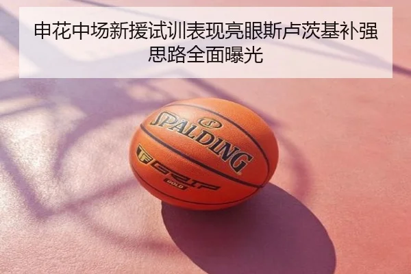 申花中场新援试训表现亮眼斯卢茨基补强思路全面曝光